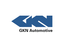 Hirschvogel-automotive-group